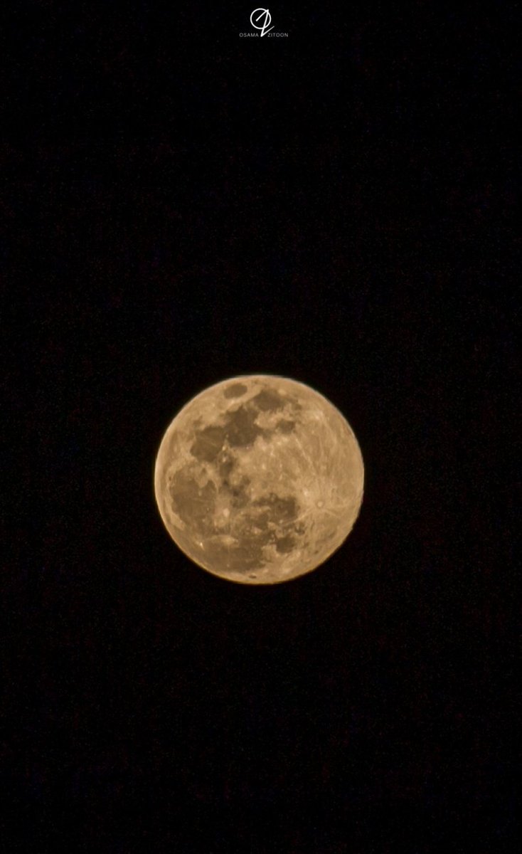 Zitoon_'s tweet photo. قمر الليلة من مصر ❤🌕 https://t.co/LInZGC0H1A