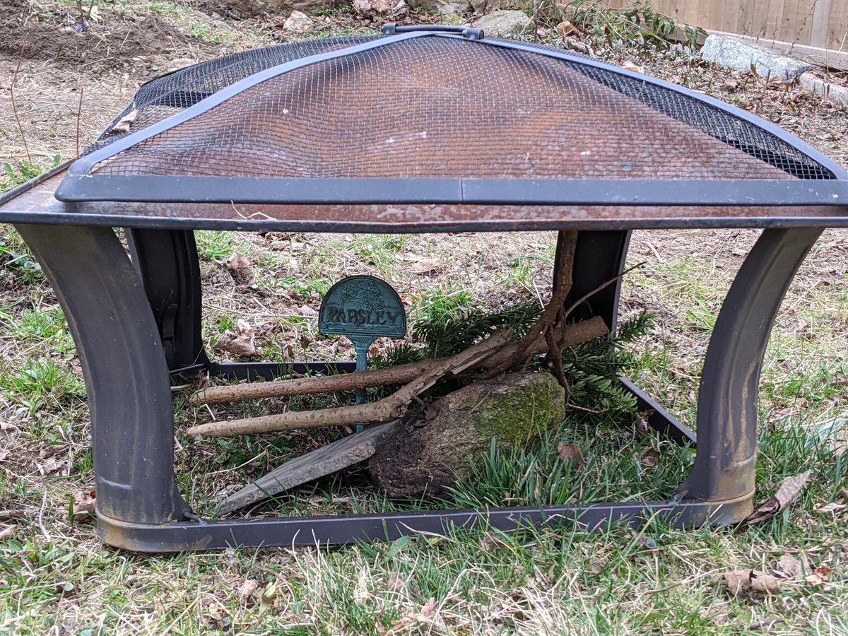 Realize the dog might move those sticks so move an old fire pit over the brush. Now it looks like you almost have a aquarium except for you are outside and the snakes are free to leave