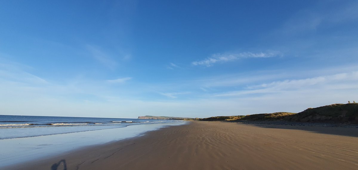 cwiteach's tweet photo. Evening Wander.
#wandering #thinking #procrastination #beach #beachwalk #lonewolf #shadowimage #sea https://t.co/8Jx0dqzt7k