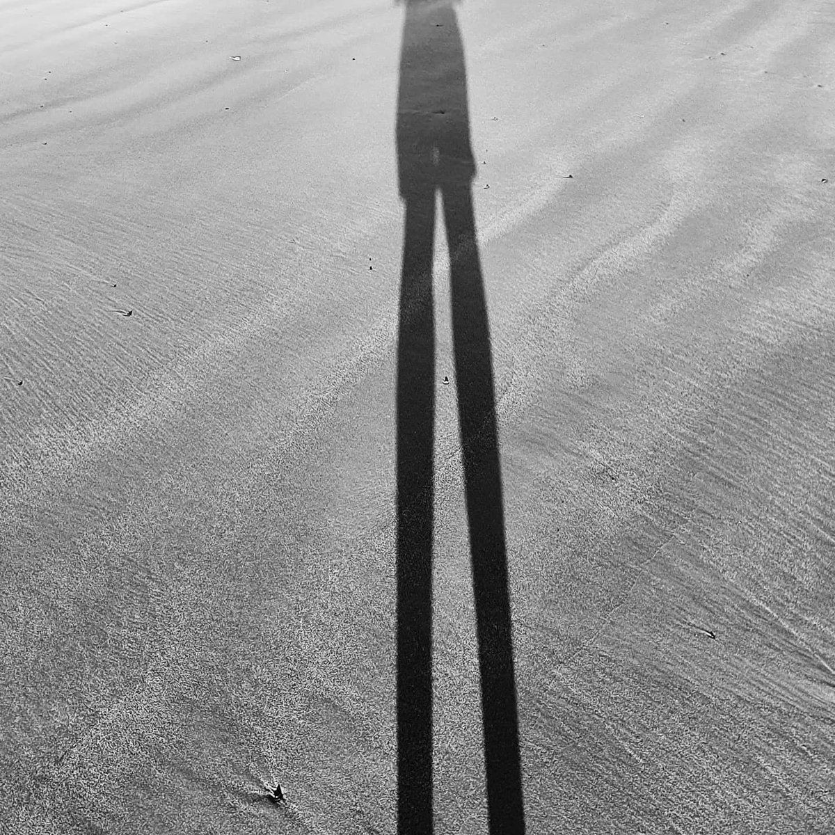 cwiteach's tweet photo. Evening Wander.
#wandering #thinking #procrastination #beach #beachwalk #lonewolf #shadowimage #sea https://t.co/8Jx0dqzt7k