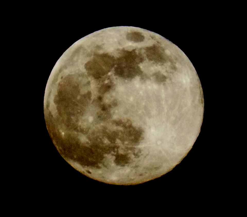 Supervollmond über Deutschland - der Blick aus dem Fenster lohnt sich heute wirklich. Falls bei euch der Himmel verhangen sein sollte, schenke ich euch hier ein Foto, dass ich vor meiner Haustür aufgenommen habe. #Vollmond #Mond #Supermond #April2020 #FullMoon #supermoon