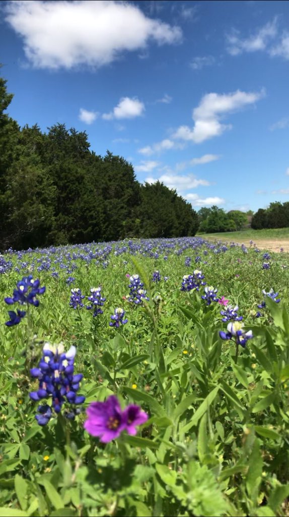 Jane hale tweet media