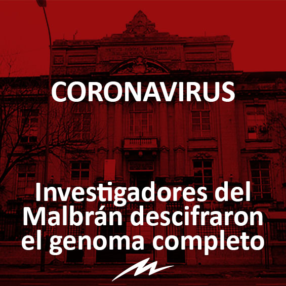radiomitre's tweet photo. ORGULLO NACIONAL

Científicos y técnicos lograron secuenciar de forma exitosa el genoma completo SARS COV-2, lo que es vital para producir una vacuna. https://t.co/iEuBj2eB7E