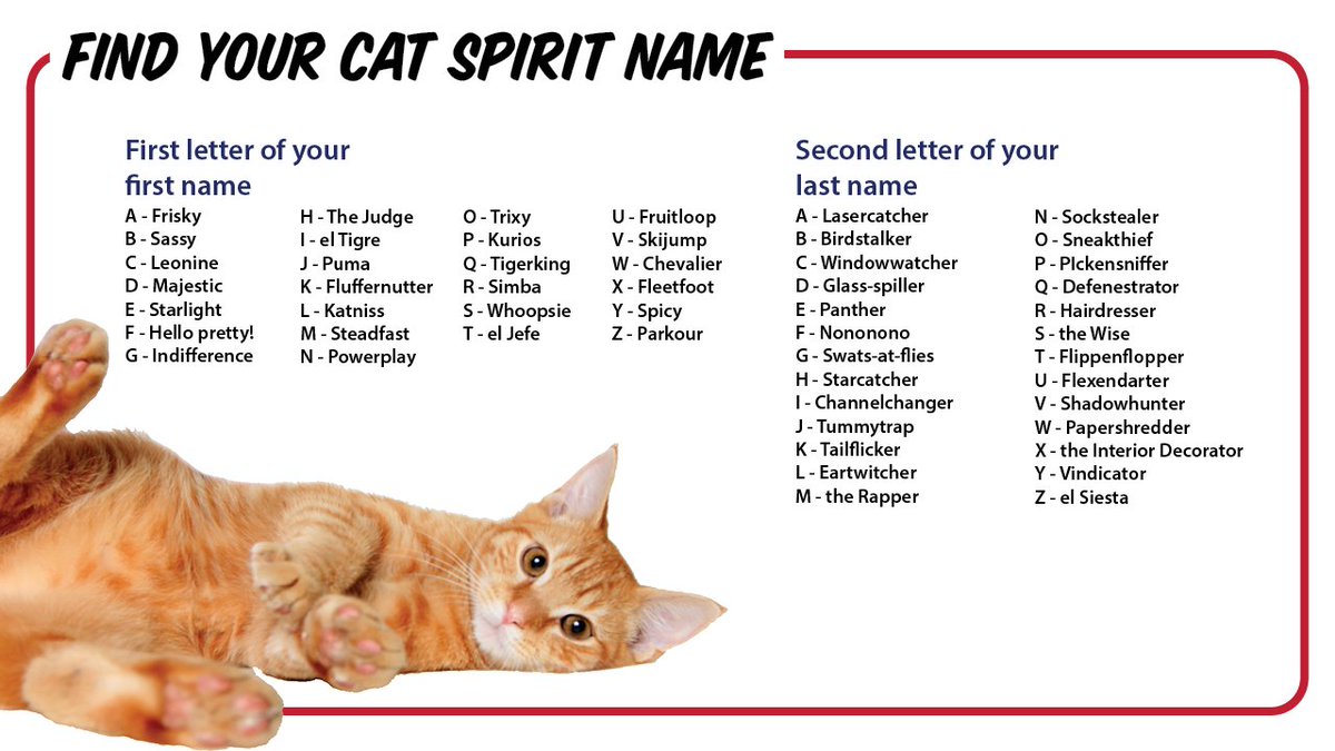 Awla Alexandria Ar Twitter After A Busy Day Of Working From Home We Know You Re Ready To Find Your Cat Spirit Name Everyone Has An Inner Feline And Now It S Time To