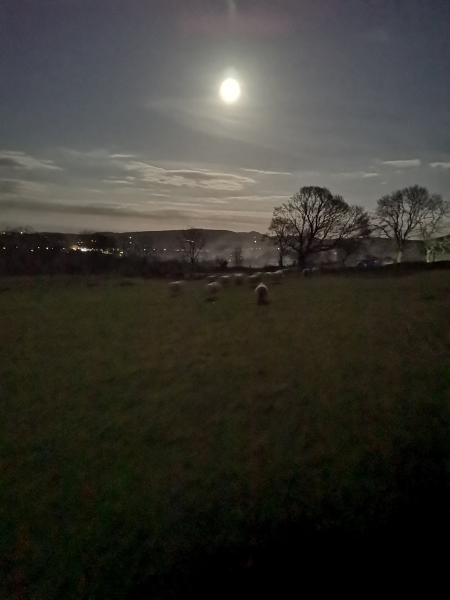 Bring sheep in tonight under the light of the very moody #supermoon #FullMoon