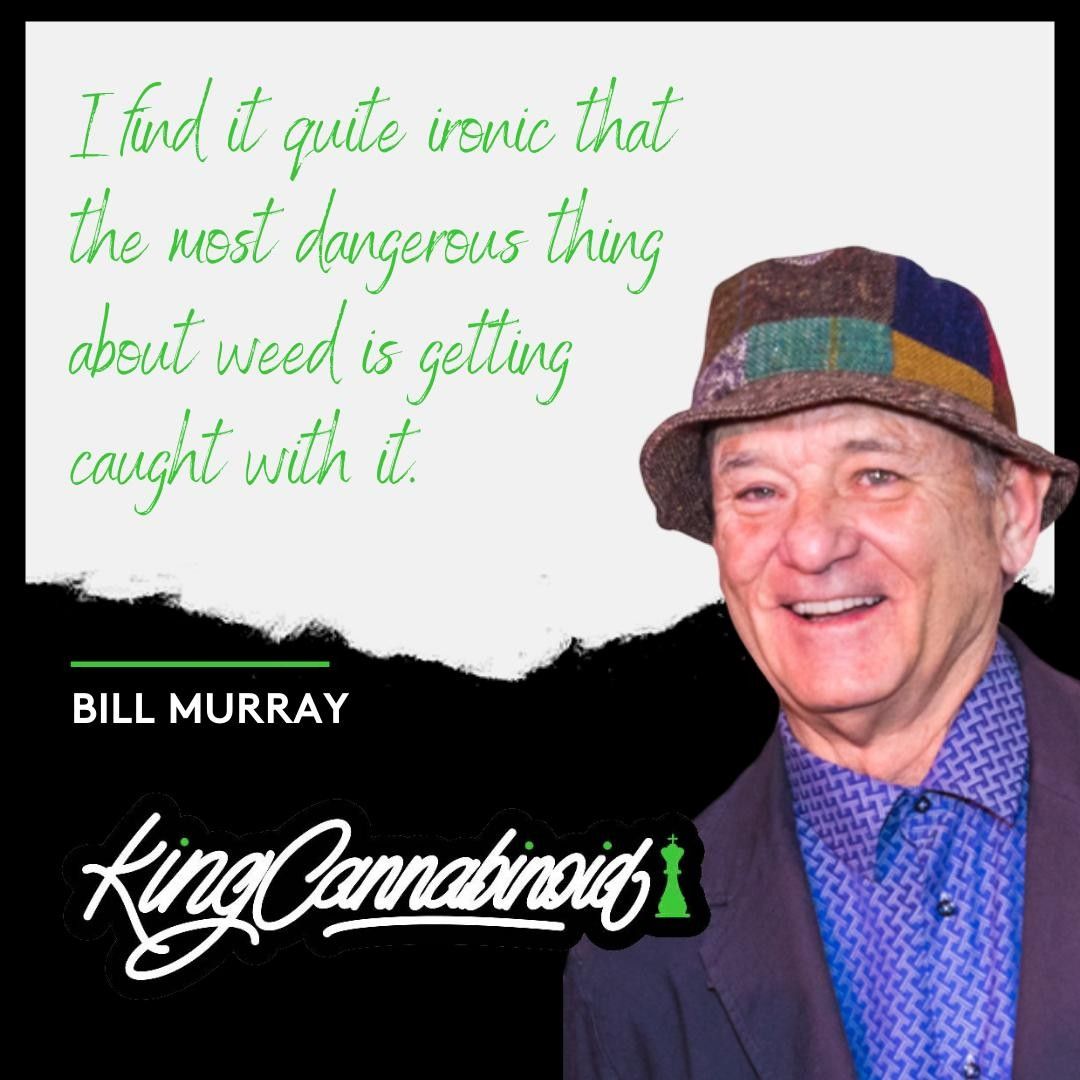 🙌🏻 BIll Murray!⁠
⁠
#cannabis #cannabiscommunity #medicalmarijuana #420 #hemp #cannabisculture #cbd #billmurray