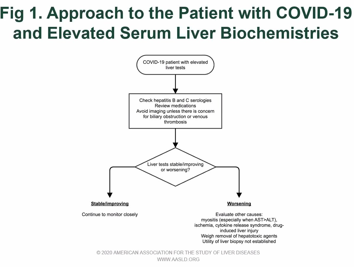 <a href="/AASLDtweets/">AASLD</a> #COVID19 updates: I'll be live-tweeting (limited by my children harassing me). Here is the new algorithm for abnormal liver enzymes in COVID19 patient.