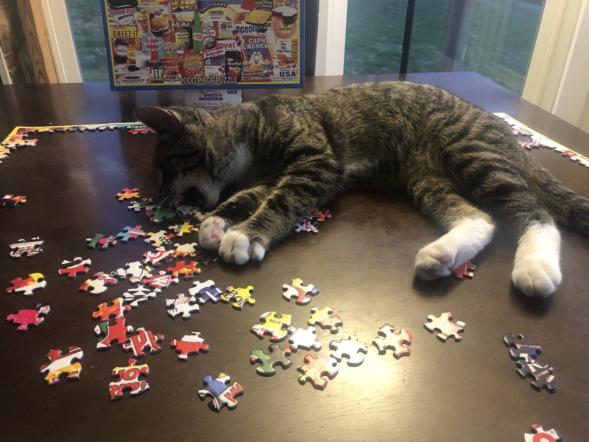 Fishrl's tweet image. ⁦@AndreaWTHR⁩ #cat we finished our puzzle :)