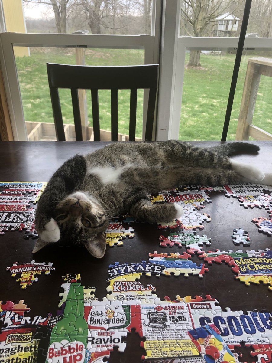 Fishrl's tweet image. ⁦@AndreaWTHR⁩ #cat we finished our puzzle :)