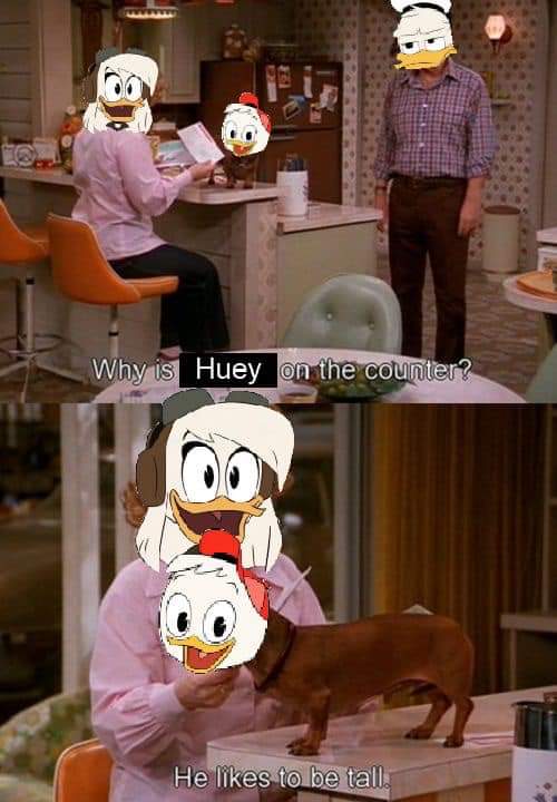 monikaloveart's tweet photo. 😂😂😂 #ducktales #meme https://t.co/FEO9SDnADO