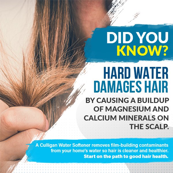 Top more than 136 hard water softener for hair tnbvietnam.edu.vn