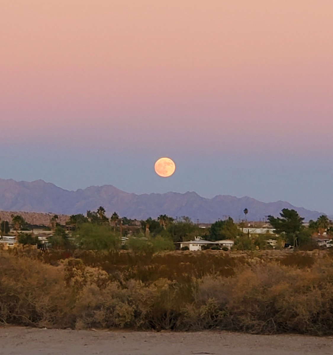 29 Palms Inn tweet media