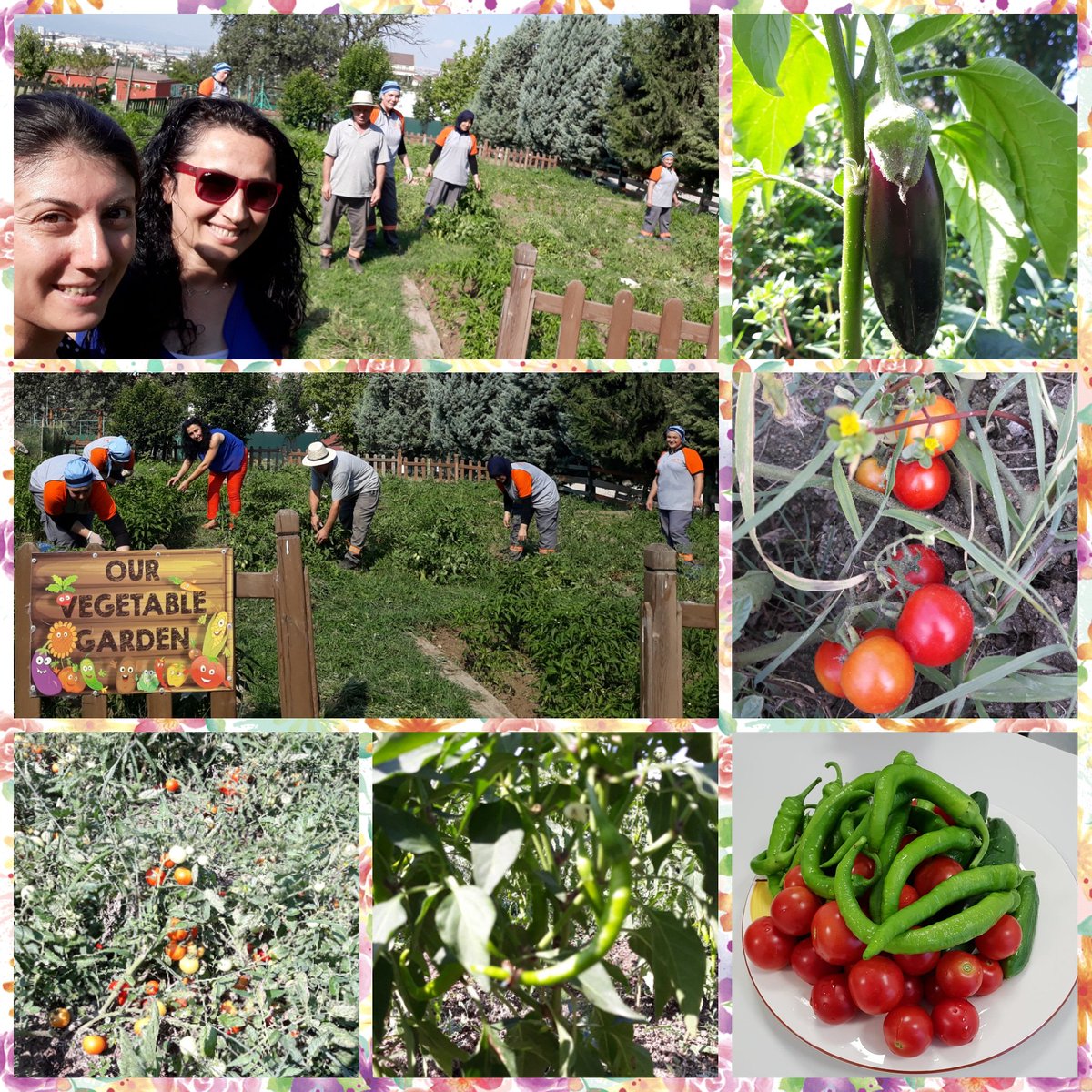 TopuzBurcu's tweet photo. @GuldemG @SuniyeK @DogaOkullari @serozeren @AliRizaLule @nurhansutlass @polatcenker @hakaninanir @HamitlerK #OkulumuÖzledim #OkullaKalEvdeKal diyorum ve @aydinkahraman7 'a meydan okuyorum. #EvdeHayatVar #EvindeKal #DoğamEvimde @DogaOkullari @serozeren @AliRizaLule @nurhansutlass @polatcenker @hakaninanir @HamitlerK https://t.co/gbgszXaTxE