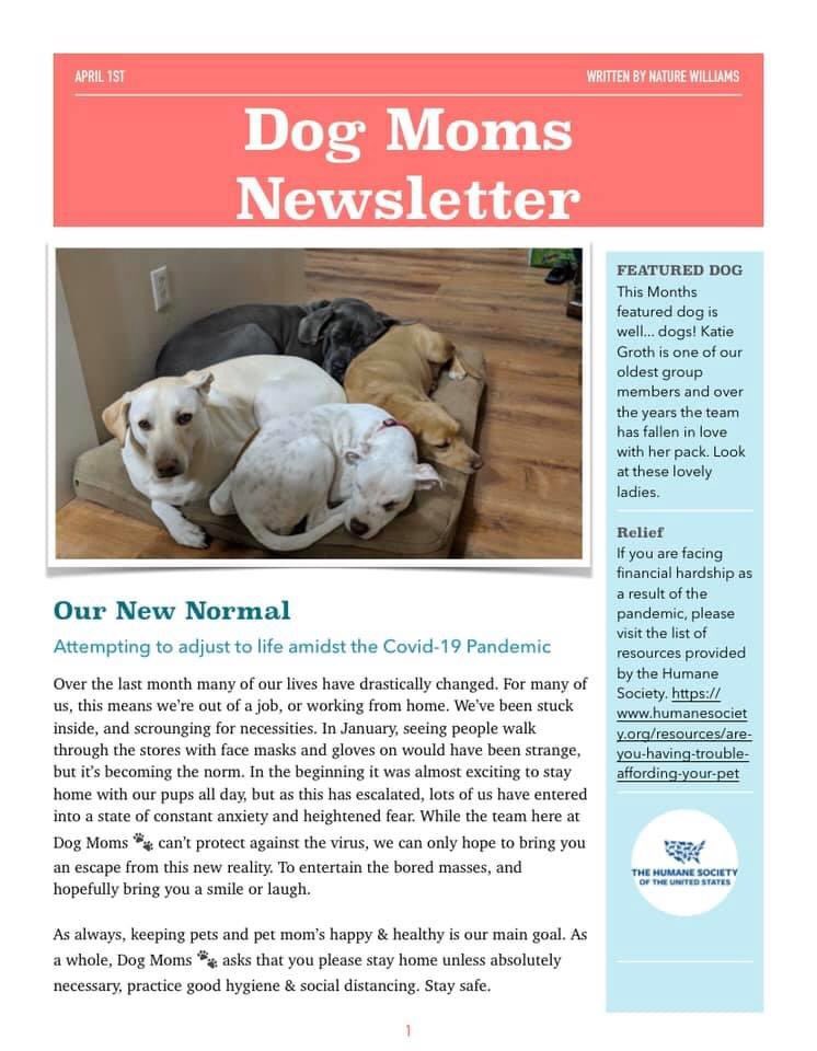 dogmomsgroup's tweet photo. Check out April’s #newsletter! Hope everyone is staying safe and healthy out there! #dogmom #dogmoms #dog #dogmomsgroup #newsletters #monthly https://t.co/WzC5TqM6JR