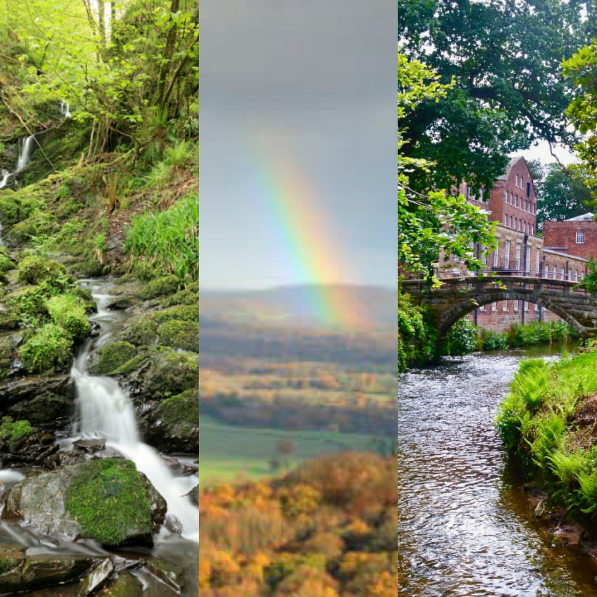 Dear friends and supporters of Riverlands, 
From the 8th April, as part of the National Trust's response to Covid19, the team has been furloughed. We will therefore be unable to tweet, or respond to messages. We look forward to resuming asap. Thanks for your support. Keep safe.