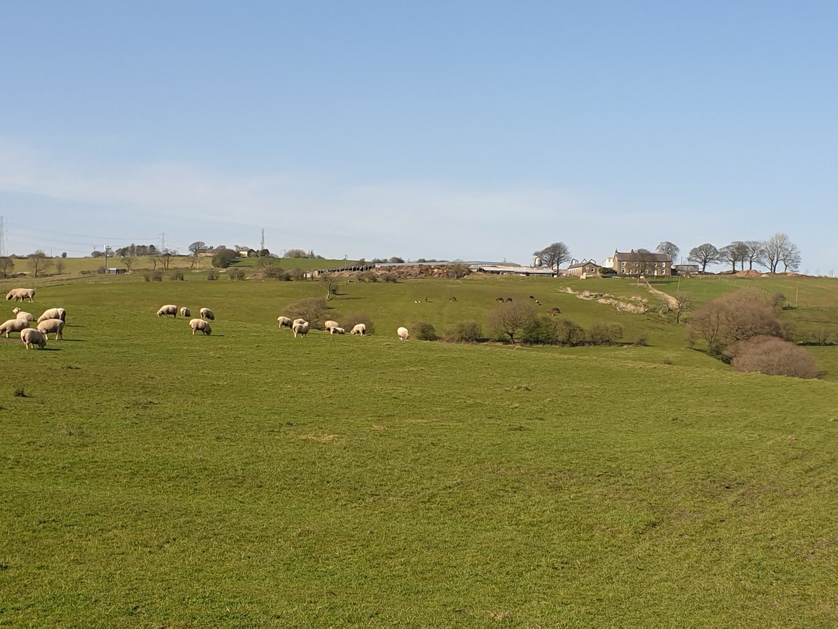 Helen_MaryG's tweet image. Some serious remote walking in Bury. @jan_linsley @cottamarts @LynneBianchi @janetforestsch Missing everyone! Keep well. One day we'll meet, 'and drink  from the deep well of things as they are.' D. Whyte.