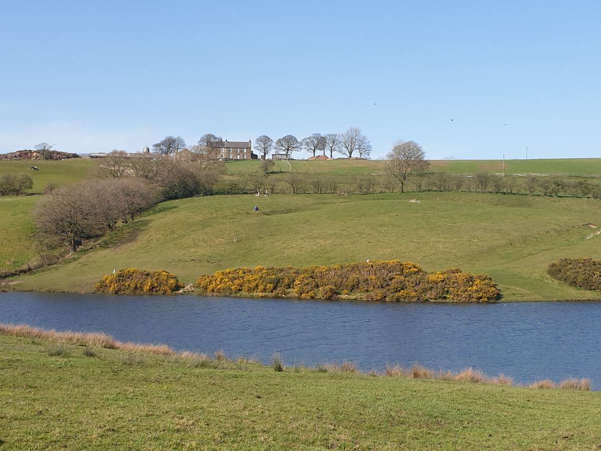 Helen_MaryG's tweet image. Some serious remote walking in Bury. @jan_linsley @cottamarts @LynneBianchi @janetforestsch Missing everyone! Keep well. One day we'll meet, 'and drink  from the deep well of things as they are.' D. Whyte.