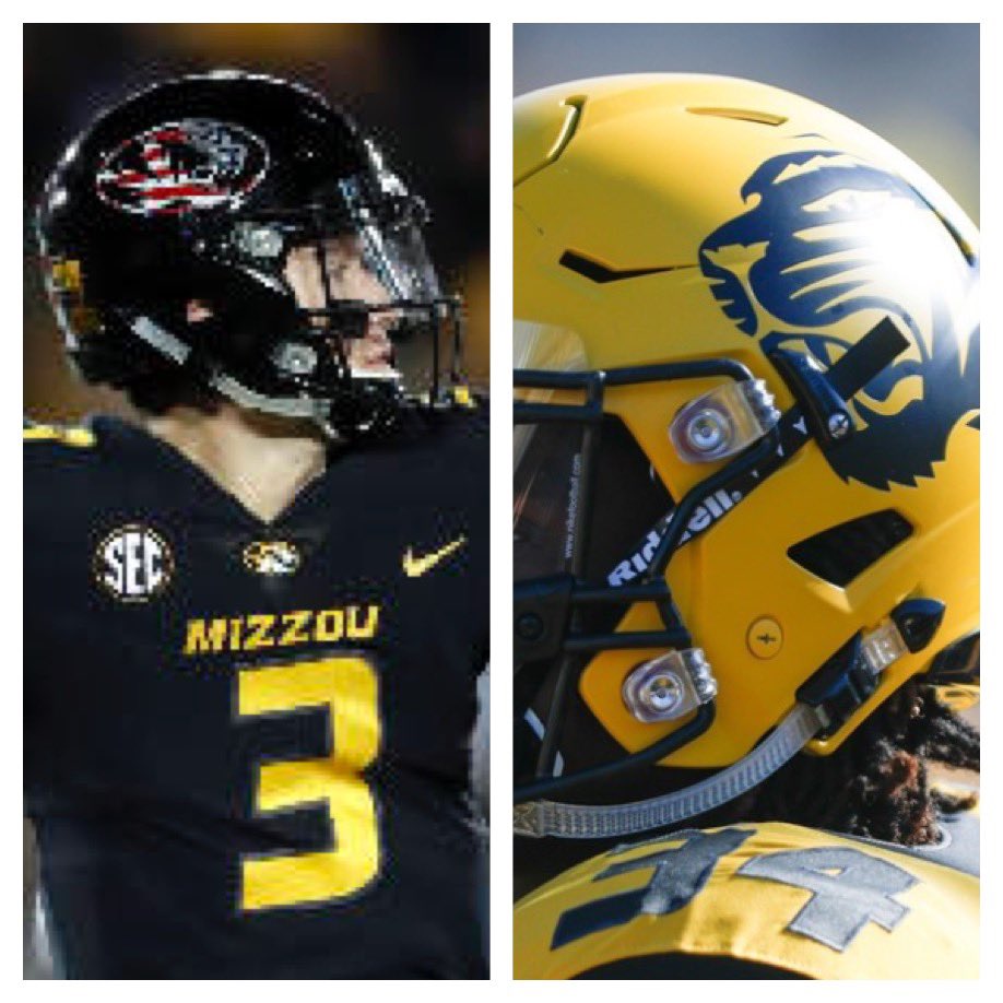 Matchup #4#5 Black Patriotic Tiger vs. #12 Gold Big Black Tiger