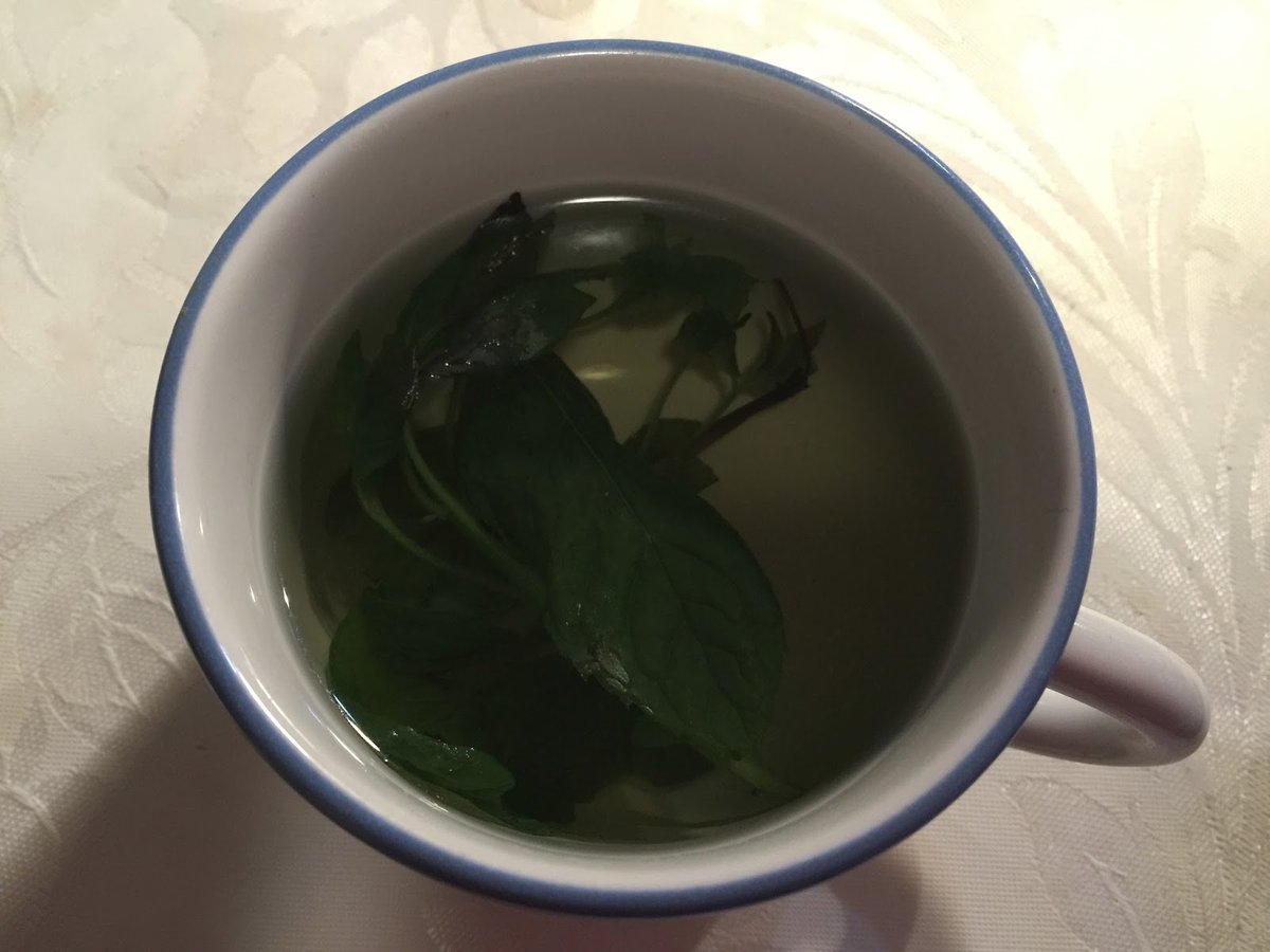 pallavipriya_'s tweet photo. Day14/21 #makechain
#21positivedays Drink any of these detox water before going to bed and cleanse your body. #HealthIsWealth #StayHealthyAndHappy https://t.co/nZhDqg5hts
@harshiii_ @Zufia6 @REBELKAUR @GuptaRavikala @KalyaniMuktevi @PenduShehari @realshailimore @savitha_rao https://t.co/vdLKAx0jQp