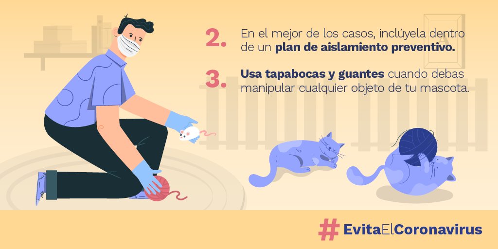 MinSaludCol's tweet photo. Si tienes síntomas respiratorios o fuiste diagnosticado con COVID-19, sigue estas medidas de higiene para proteger a tu mascota y a los miembros de tu familia.  #EvitaElCoronavirus https://t.co/PS7n87Es1K