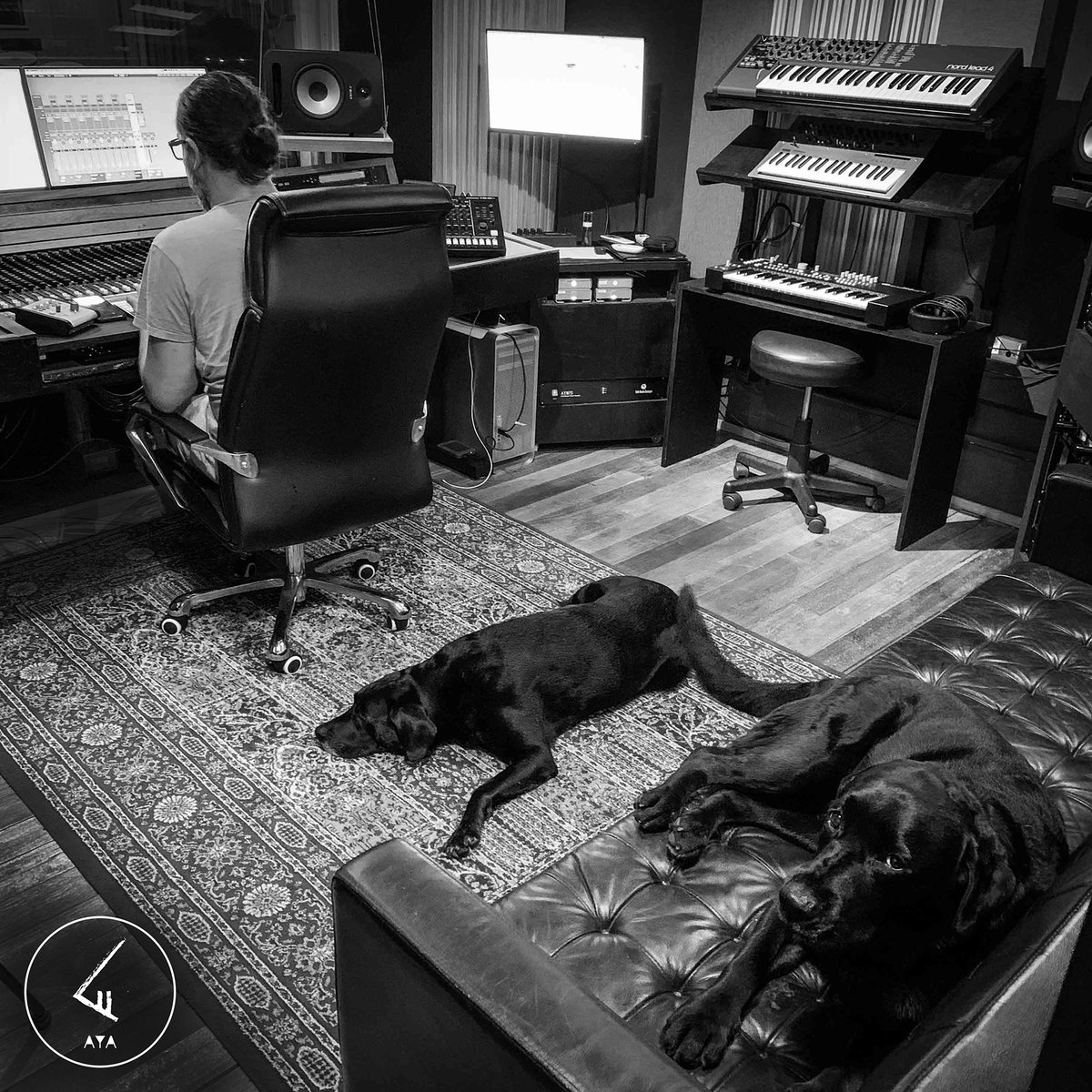 Studio routine - working on the mix, with some great companies in the studio.
#carstenmartensofficial #ayastudios #musicstudio #djproducer #audiopostproduction #germanengineer #musiccomposition #analogconsole #analogmixer #studiowork #toftatb24 #mixing #mastering #mixandmaster
