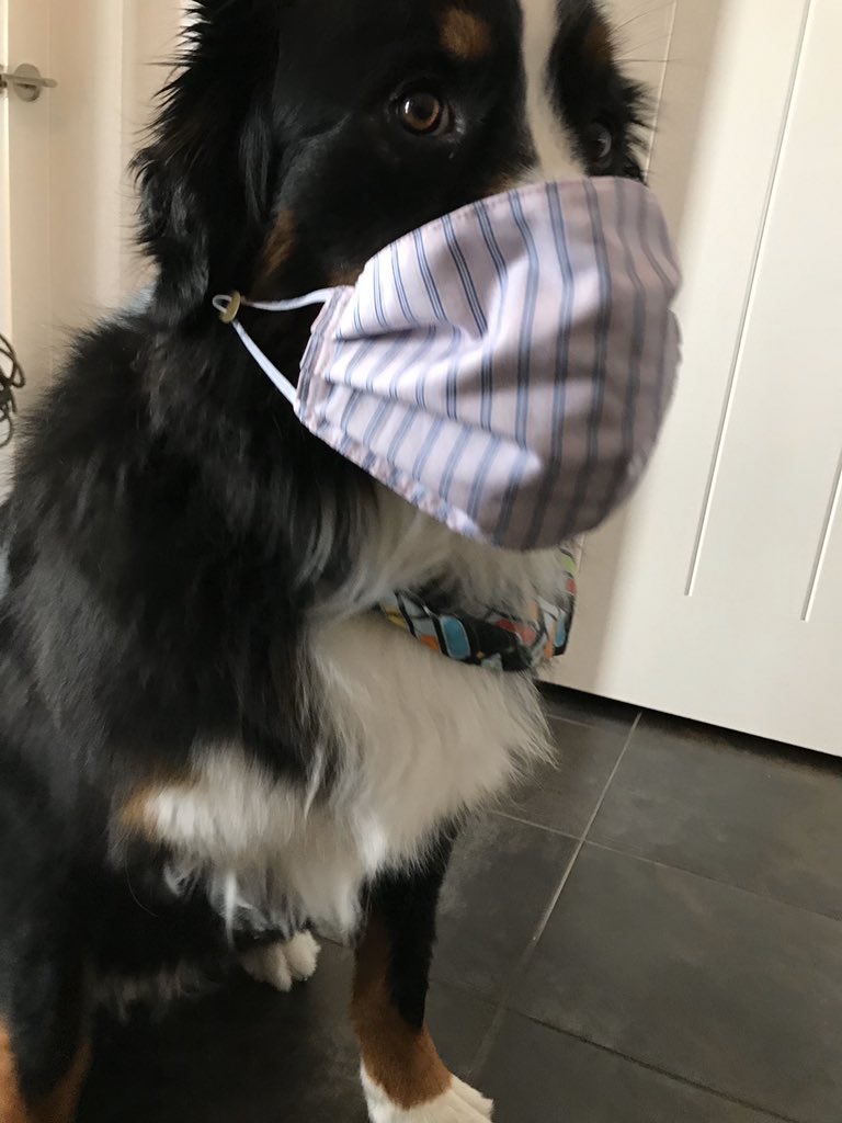 bunsenbernerbmd's tweet photo. Health Officials have updated their stance on wearing masks, including @CMOH_Alberta .  Cloth masks may help for these reasons:
1.  Limit spread to others if you have #COVID19 but don’t have symptoms.
2. Stop you touching your face
3. Catch large droplets
#masks #science 
(1/2) https://t.co/S1ssyzOUUU