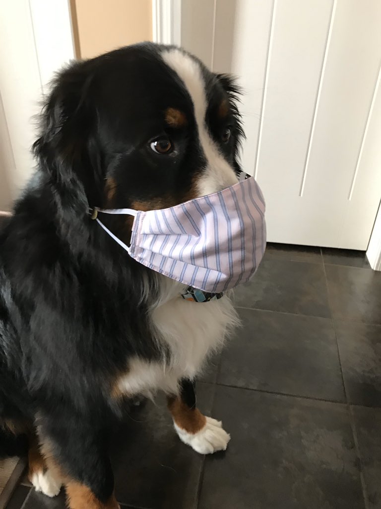 bunsenbernerbmd's tweet photo. Health Officials have updated their stance on wearing masks, including @CMOH_Alberta .  Cloth masks may help for these reasons:
1.  Limit spread to others if you have #COVID19 but don’t have symptoms.
2. Stop you touching your face
3. Catch large droplets
#masks #science 
(1/2) https://t.co/S1ssyzOUUU