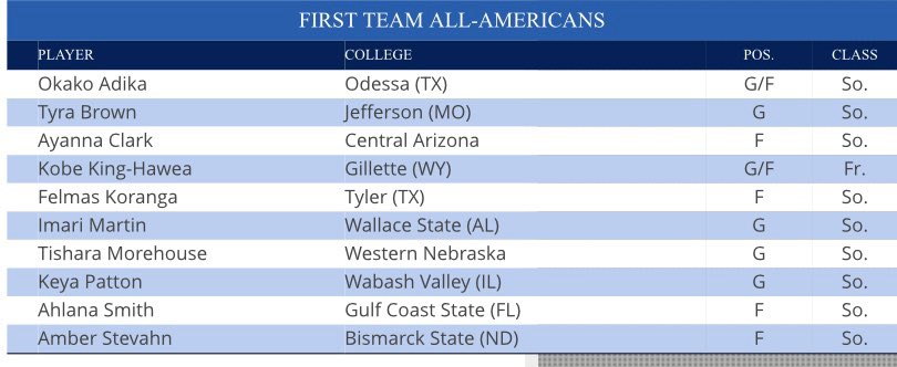 Congratulations to former Lady Skyhawk @amber4282000 for her First Team All-American selection!!! She finished her time at BSC as their all time leading scorer at 1,519!