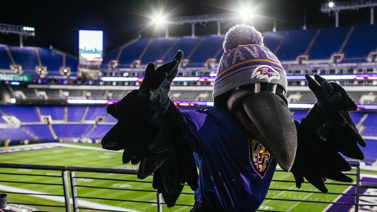 Baltimore Ravens On Twitter A Few More Backgrounds To Spice Up Those Zoom Calls Baltimore Ravens On Twitter A Few More Backgrounds To Spice Up Those Zoom Calls