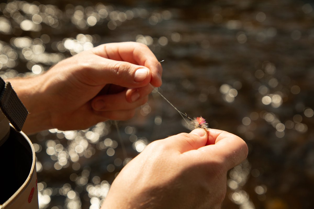 VisitMalone's tweet photo. We'll be here waiting, the fish will too!  We can't wait to welcome our anglers back!  #WeWillBeHere #fishingmalone #flyfishing #angler #ingoodtime #castaline #flyfishing #SalmonRiver #DaysAhead https://t.co/zSD8cU0USQ