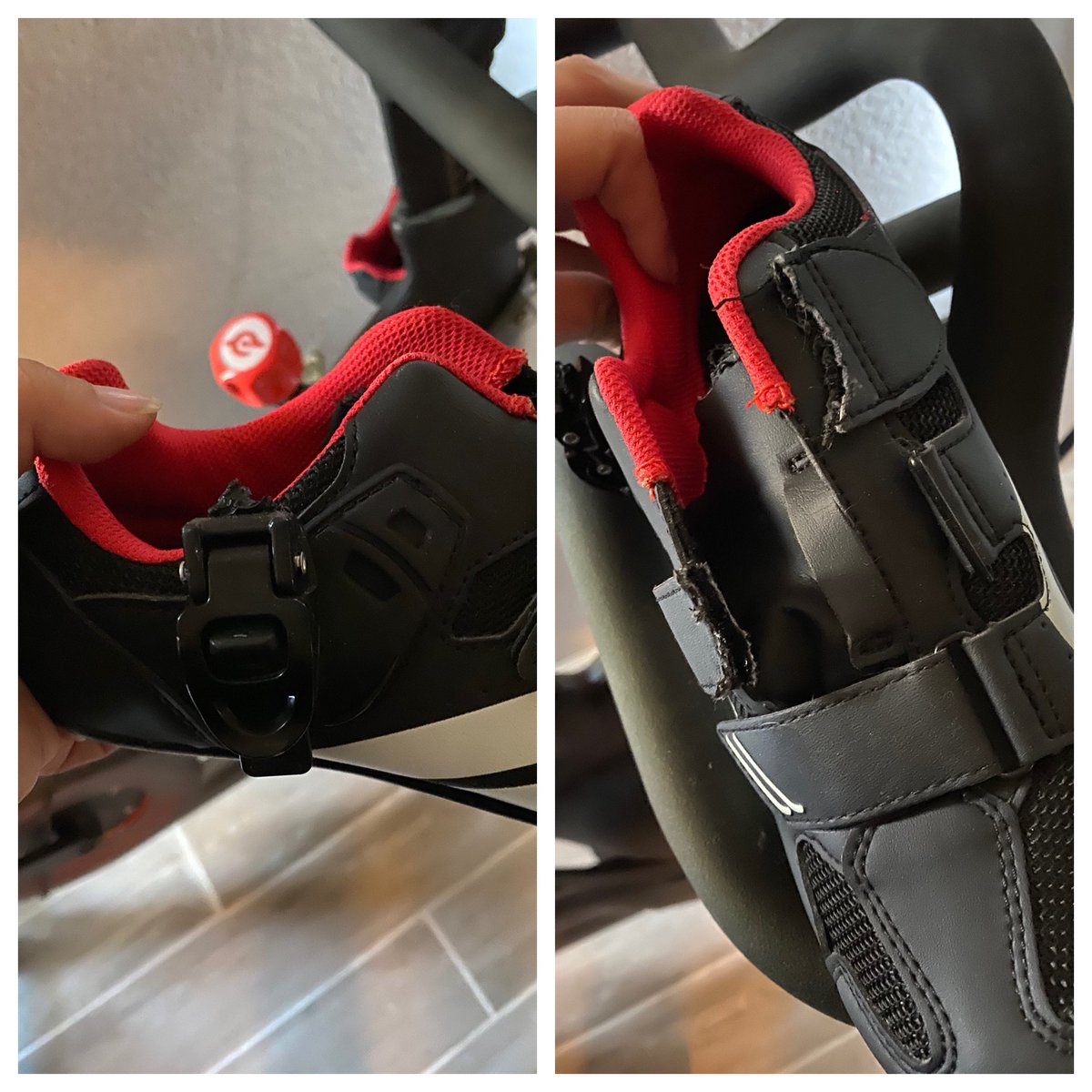 CaliiRican's tweet photo. When you were finally ready to find peace with your @onepeloton  during the quarantine only to find that your dog destroyed one of your shoes 😭 https://t.co/8OaEMx30il