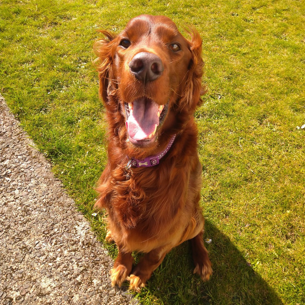 A sunny smile to make you smile😍🌞
#TuesdayMotivation #smiles