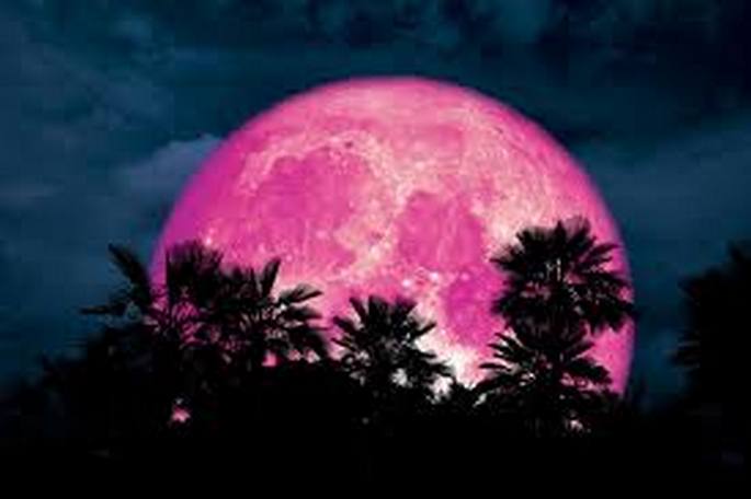 Pink Super moon amplify effectiveness of magickal spells, rituals and other metaphysical workings including spells cast by our coven witchtalismans sisters of the north witch coven spells cast for love money health protection power learn more  bitly.com/2UOIHpa