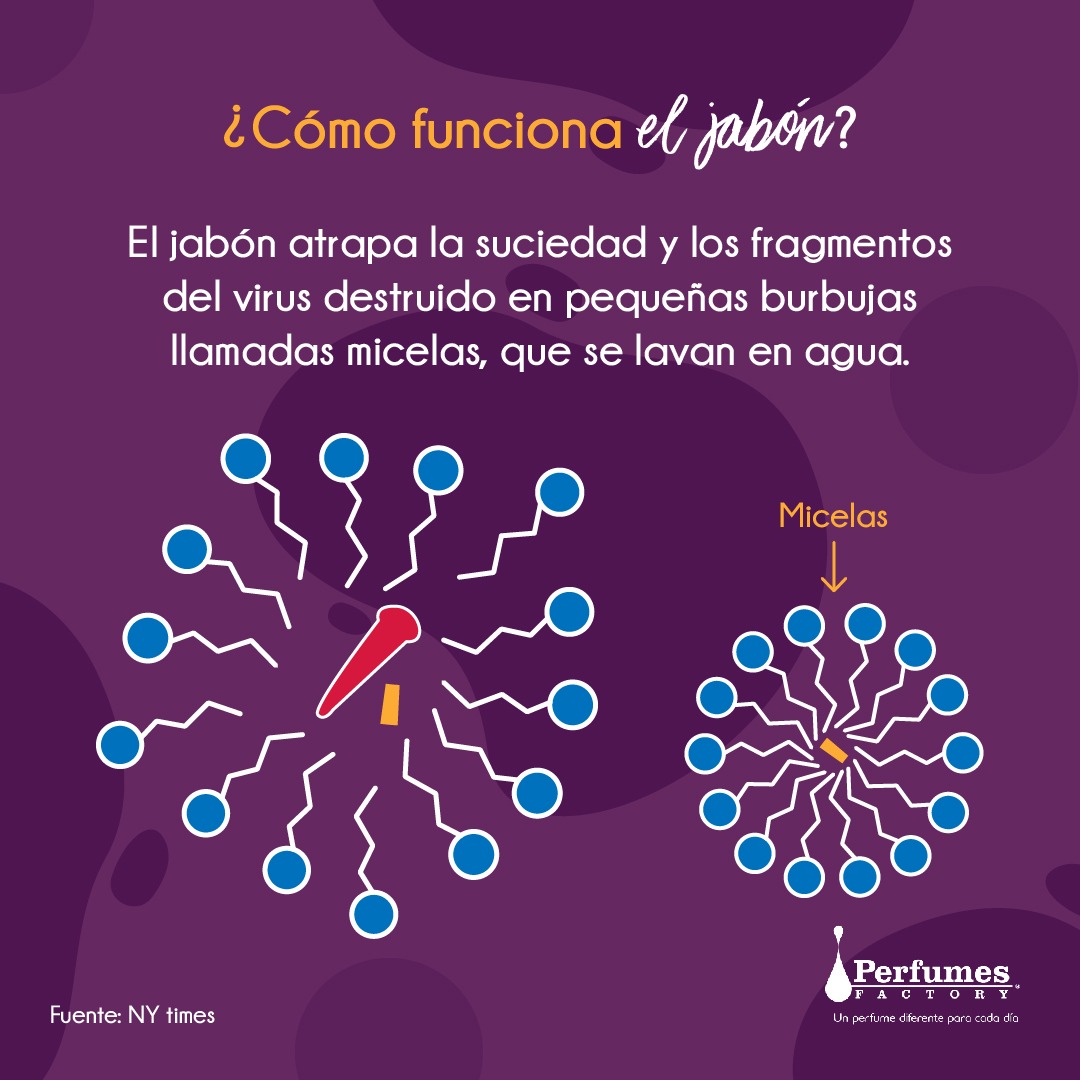 pfactorypan's tweet photo. Porque en Perfumes Factory Pensamos en ti aquí te mostramos como funciona el jabón contra el #COVID-19. Tenemos que conocer el porqué de la cosas, y el aporte que el jabón tiene para combatir virus y bacterias.

¡Cuídate y protégete!

#QuedateEnCasa #PerfumesFactoryPiensaEnTi https://t.co/AtT2AjILKV