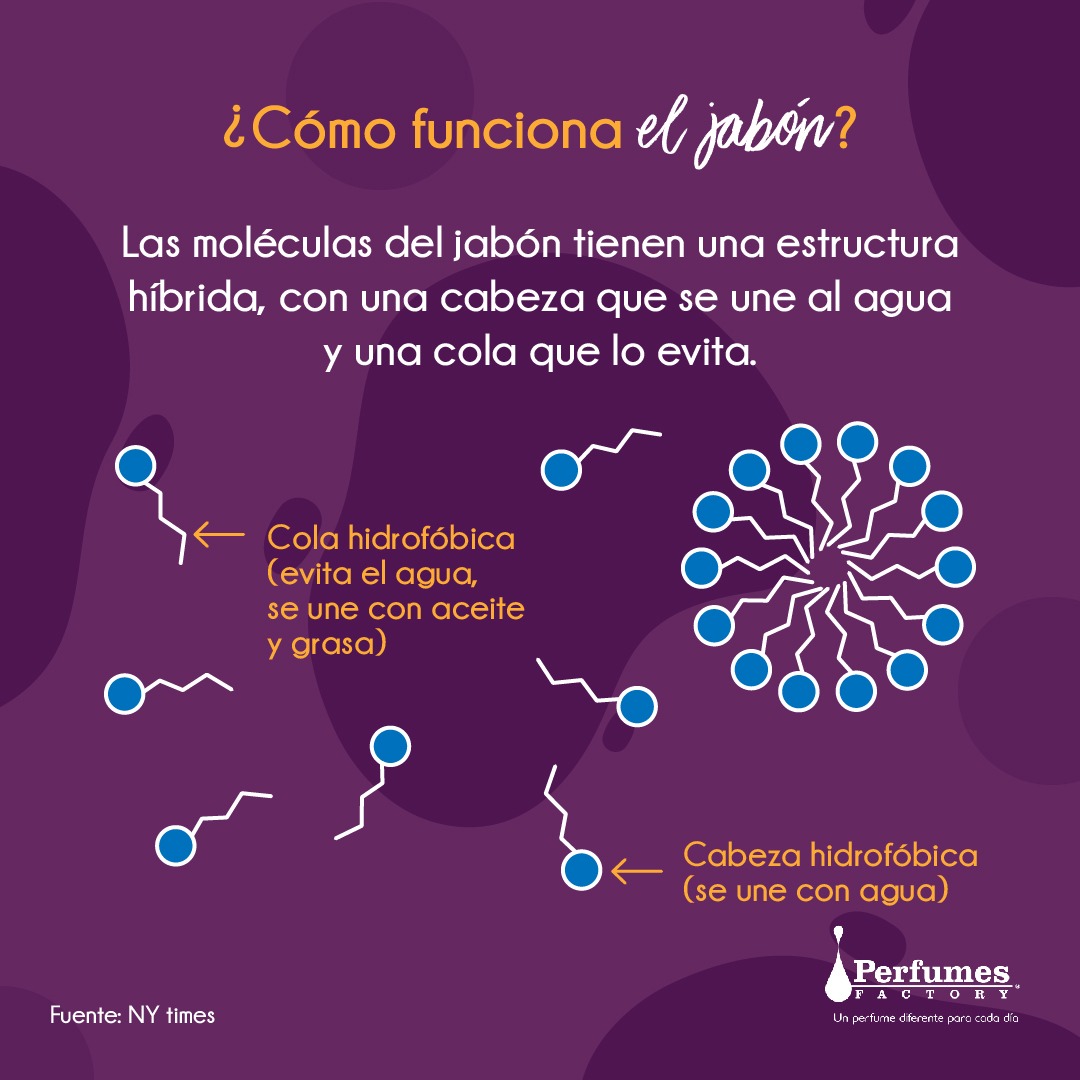 pfactorypan's tweet photo. Porque en Perfumes Factory Pensamos en ti aquí te mostramos como funciona el jabón contra el #COVID-19. Tenemos que conocer el porqué de la cosas, y el aporte que el jabón tiene para combatir virus y bacterias.

¡Cuídate y protégete!

#QuedateEnCasa #PerfumesFactoryPiensaEnTi https://t.co/AtT2AjILKV