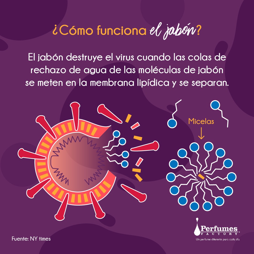 pfactorypan's tweet photo. Porque en Perfumes Factory Pensamos en ti aquí te mostramos como funciona el jabón contra el #COVID-19. Tenemos que conocer el porqué de la cosas, y el aporte que el jabón tiene para combatir virus y bacterias.

¡Cuídate y protégete!

#QuedateEnCasa #PerfumesFactoryPiensaEnTi https://t.co/AtT2AjILKV