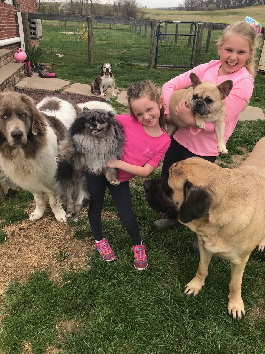 SchwebachFarm's tweet photo. Pet Day for school today! But the only accomplishing assignment with these class clowns is Recess! https://t.co/pMqdvIogut