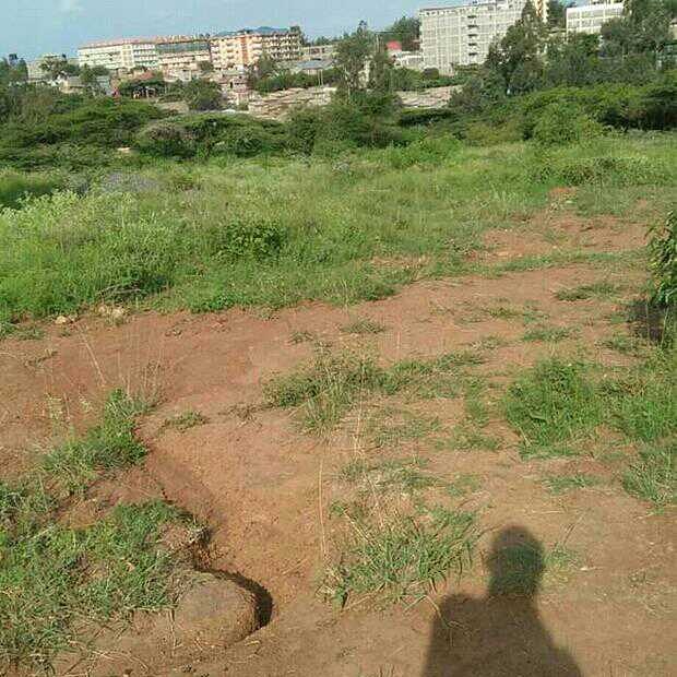 TheManoti's tweet photo. Quarter acre plot on sale, in ongata Rongai Masai Lodge, Nairobi. It's ideal for apartments. It has clean documents. Asking 15M. To view contact us 0721 594 567 #Manoti
#FreeSonkoRescueTeam #COVID19 #WorldHealthDay2020 #COVID19Pandemic #dontbuythesun https://t.co/eBnhmiSUeT