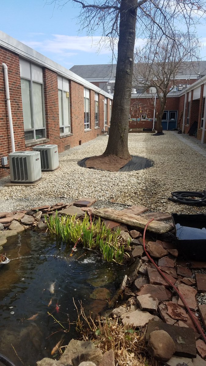 Pond is all opened up for year!!!  The courtyard looks awesome!!!! Thank you CPS PTO for making this happen and a also thank you Ragozine Landscaping for a job well done.  #cpspride