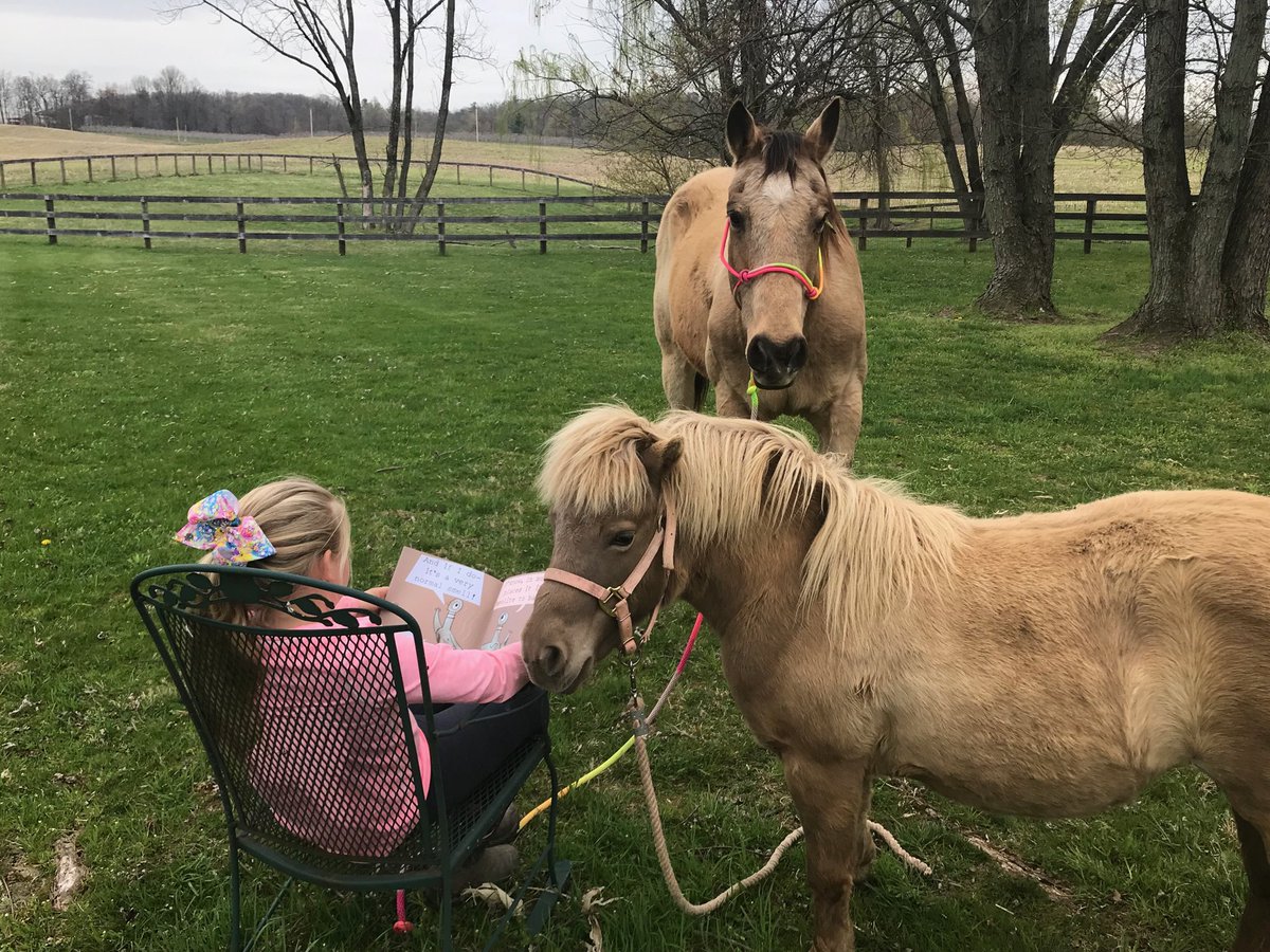 SchwebachFarm's tweet photo. Brooke took reading to Dandy and Guinevere this afternoon! Pet Day for school https://t.co/1x3R64IDtQ