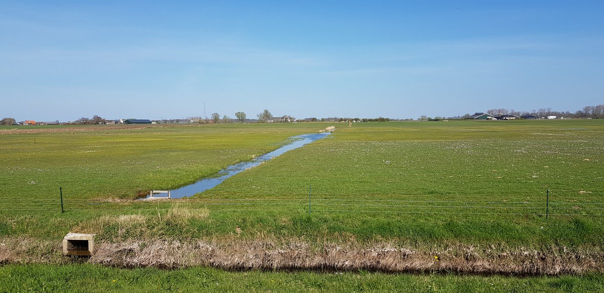 Vogelweidegebied de #Hoenwaard.
Prachtig gebied, een van mijn favoriete terreintje in mijn beheereenheid.