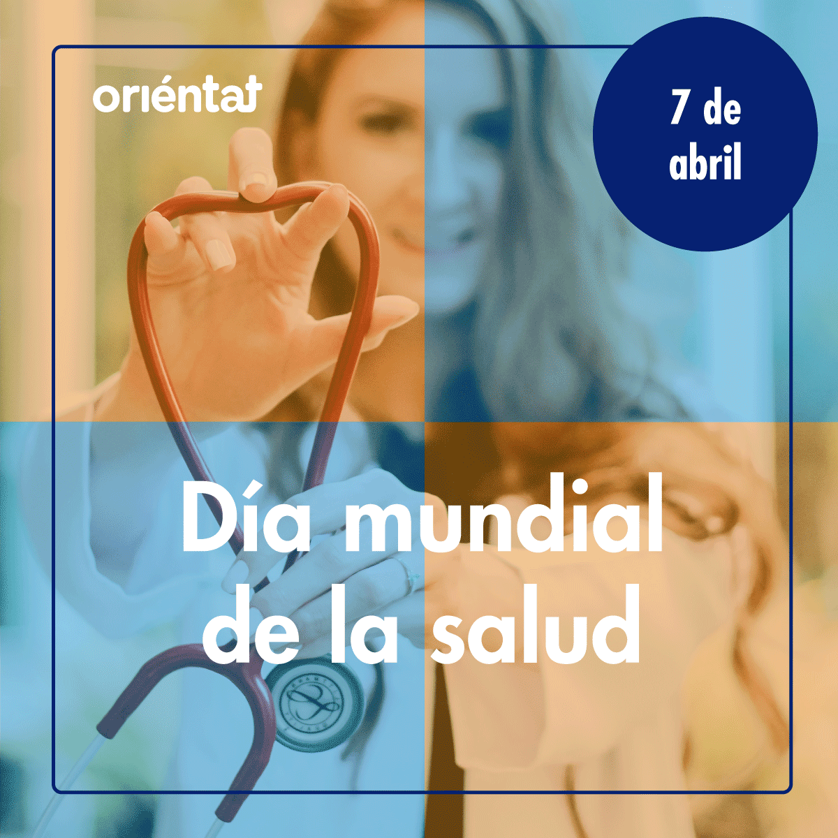 Oriéntate tweet media