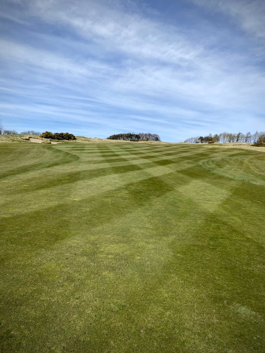 Jake McCann (@jpm48) on Twitter photo British Masters Hole #1 <a href="/CloseHouseGolf/">Close House Golf</a>. Essential maintenance done right. #forthemembers British Masters Hole #1 <a href="/CloseHouseGolf/">Close House Golf</a>. Essential maintenance done right. #forthemembers