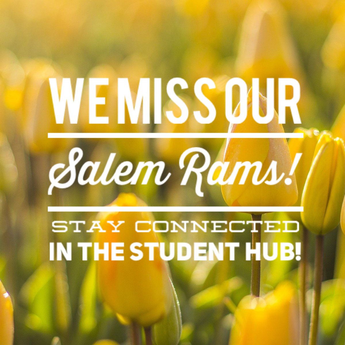 Salem Elementary tweet media