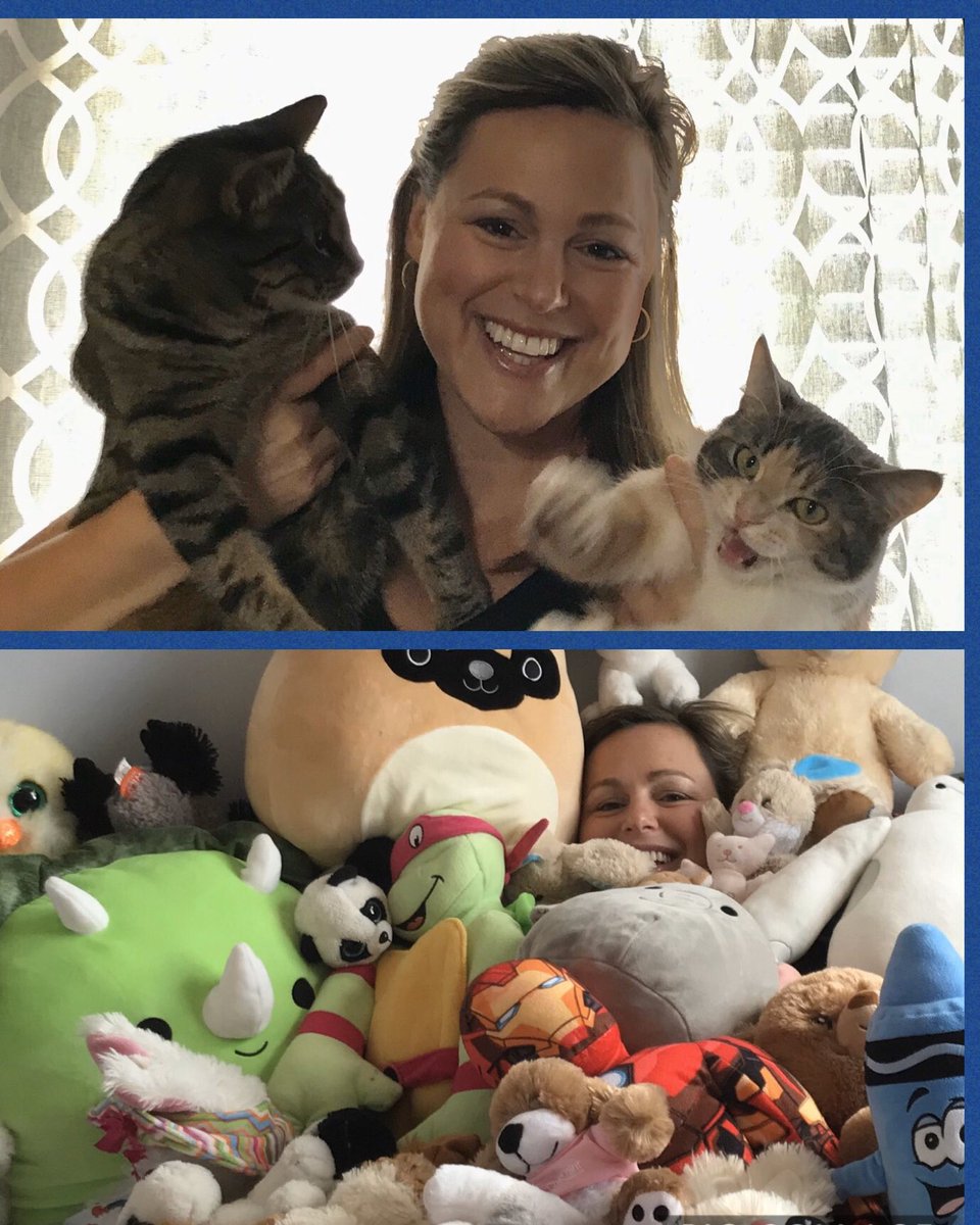 edu_low's tweet photo. @Churchvilleps These are my kittens Bean and Dash, and waaaaay too many stuffed animals in our home. https://t.co/CjOHptm740