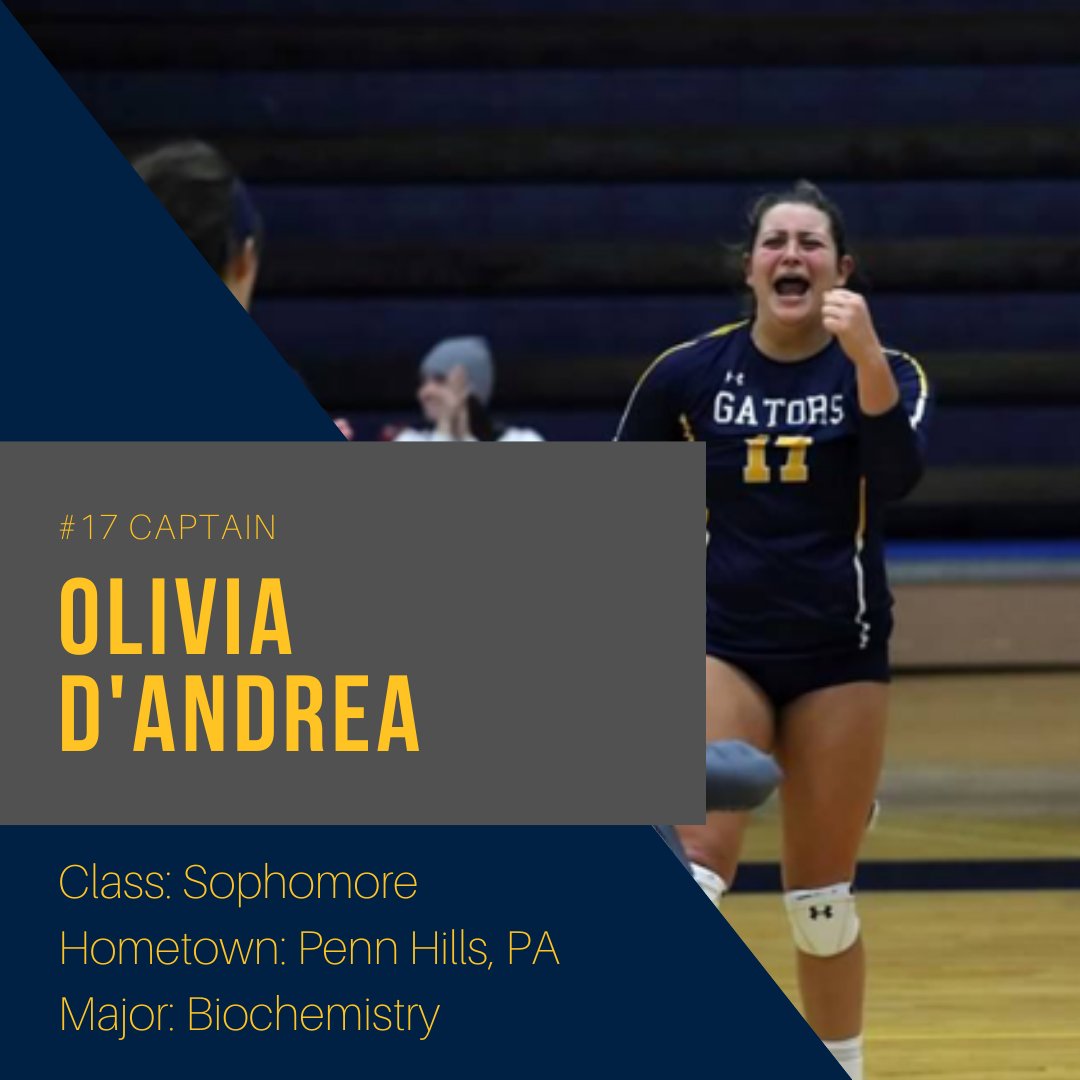 AlleghenyVball's tweet image. Meet Liv #bringyourAgame #gogators #acvb
