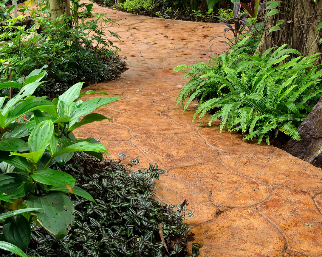 LiederLandscap1's tweet photo. We are locally owned and operated, insured, with references available. #LiederLandscapes #KatyTX https://t.co/2WrAEH7OLT https://t.co/hSNgzXLyHd