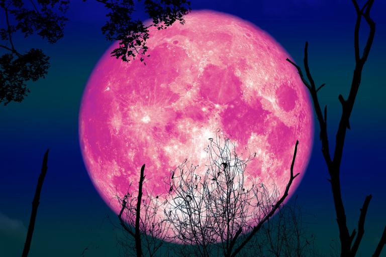 touch_krystal's tweet photo. 🙏💕💖✨🌟🕯️🌕#thoughtfortheday #PinkSupermoon #Blessings #magicandmiracles Sending pink supermoon magical blessings filled with love, light, good health, wellbeing, happiness, harmony, hope, healing & miracles to one & all; may each & everyone of you keep safe, well & blessed💛 https://t.co/KRWC3woHXM