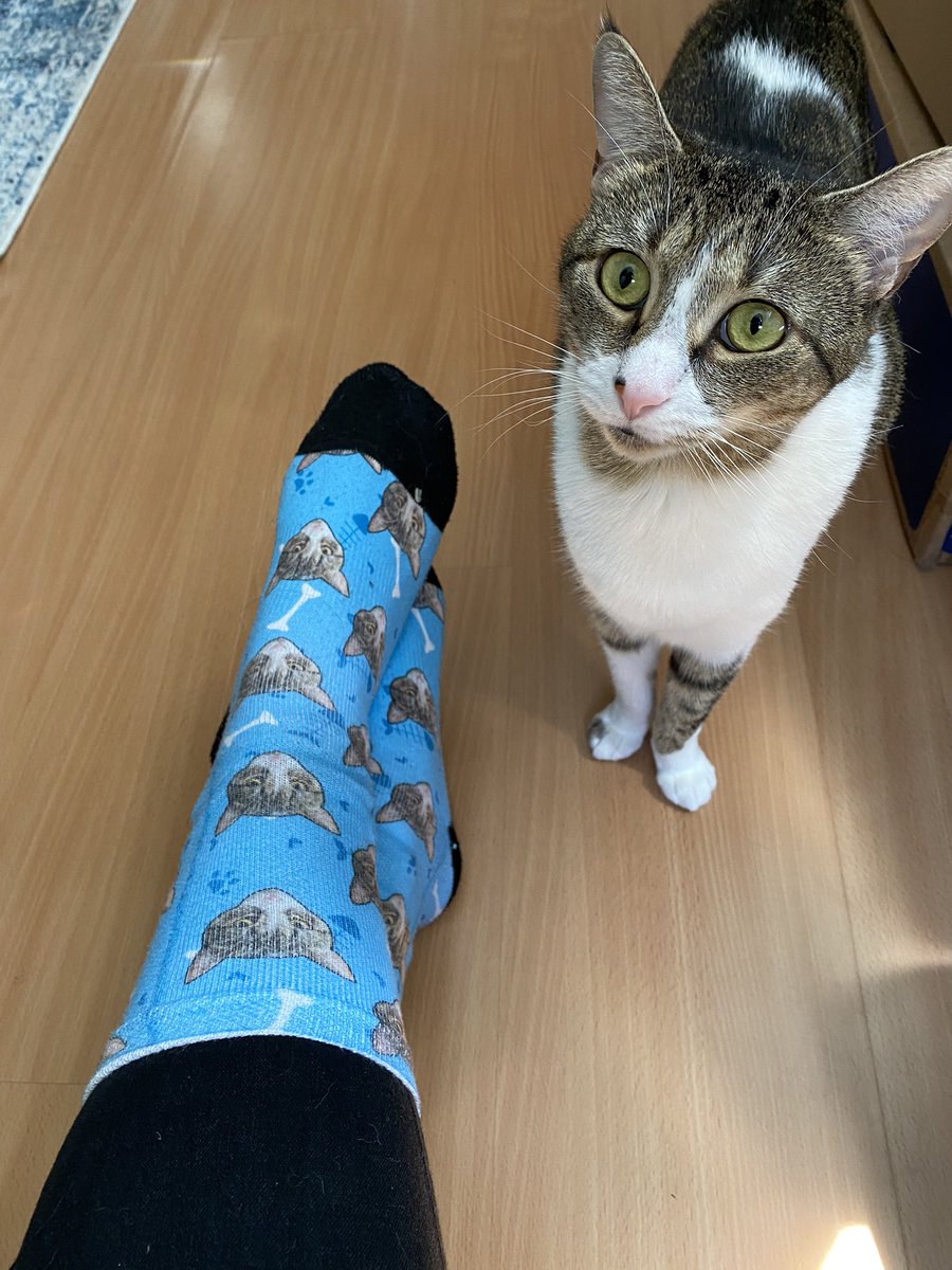 MsMac131's tweet photo. Happy Crazy Sock Day! @ps131K15 https://t.co/v5lBAOMC6x