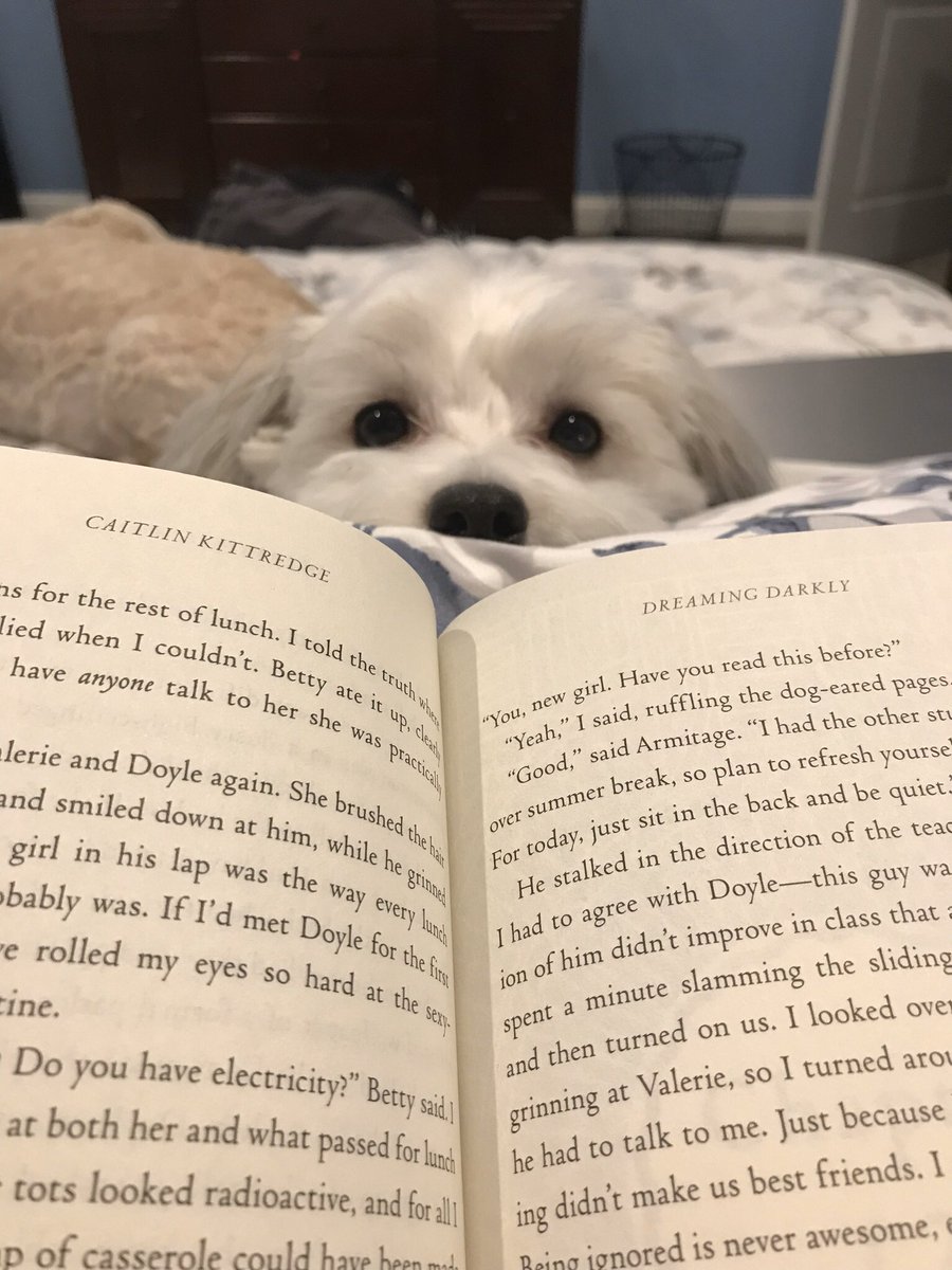 BRMSpatriotslib's tweet photo. #msdr9cares My favorite place to read- in my bedroom with a cute dog 💕 https://t.co/iZTEWuSUKr